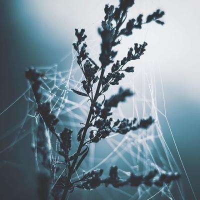 千亿国际下载手机版