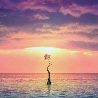 b体育手机版官网最新版本下载手机app下载