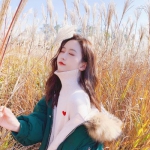 亚虎娱乐手机app下载